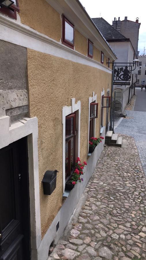Apartmán U Dr. Fausta Slavonice Exteriér fotografie